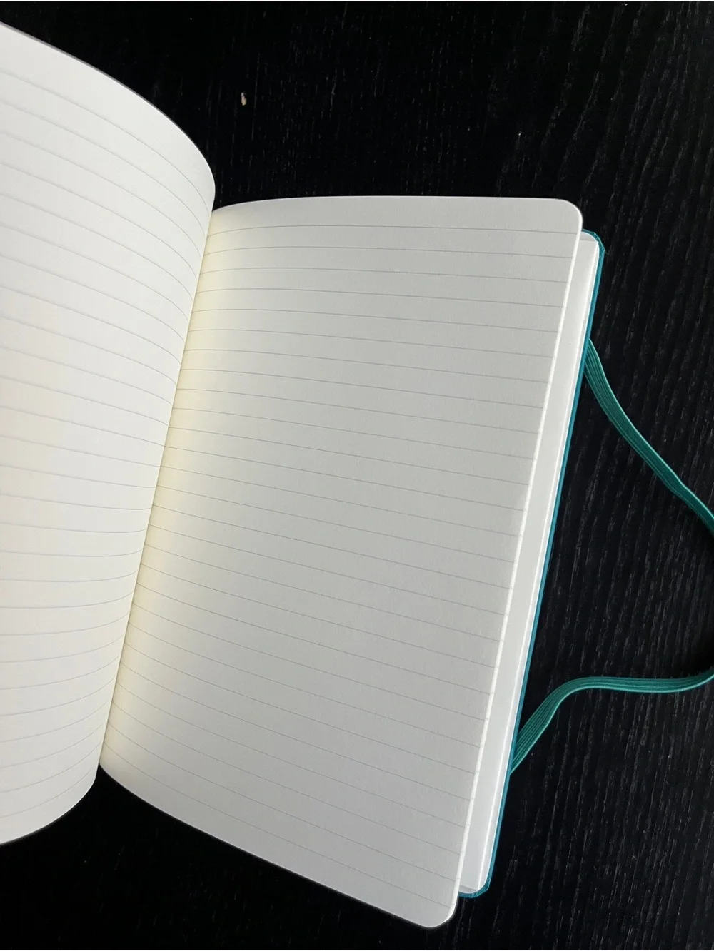 PAPERAGE Teal Datadog Journal Lined Notebook Pocket Stickers Ribbon Bookmark